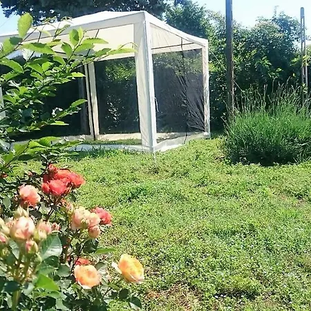 Openspace Da Irene Apartment *