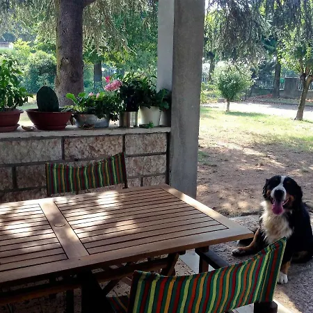 Openspace Da Irene *