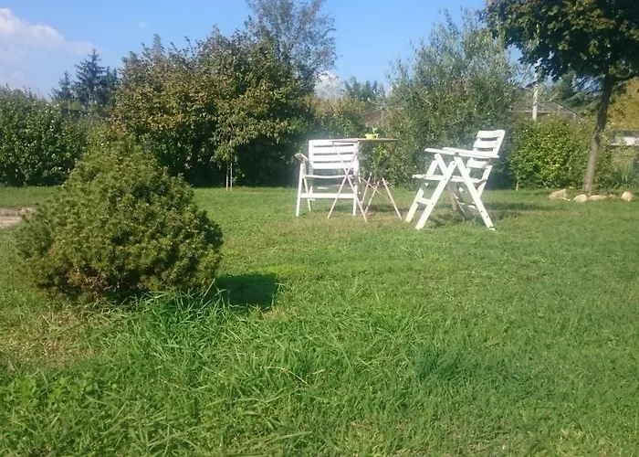 Openspace Da Irene *