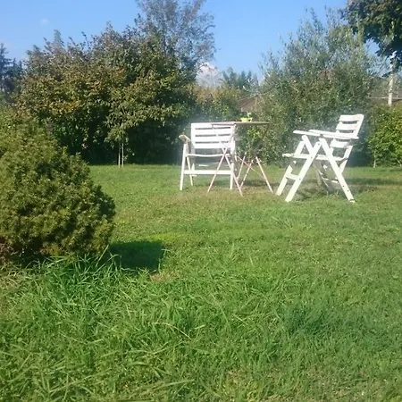 Openspace Da Irene *