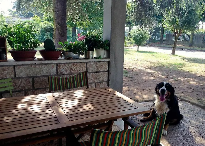 Openspace Da Irene *